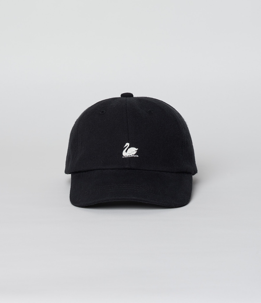 CAP01T_99_01.jpg
