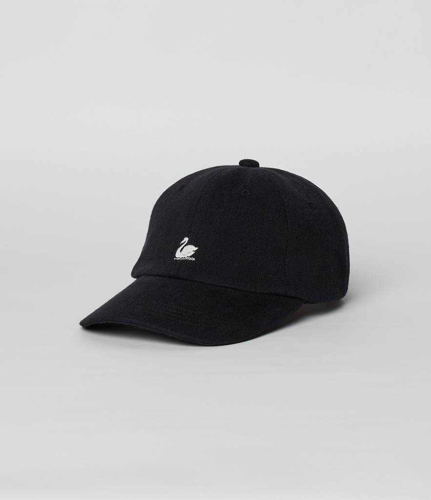 CAP01T_99_02.jpg
