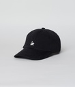 CAP01T_99_02.jpg