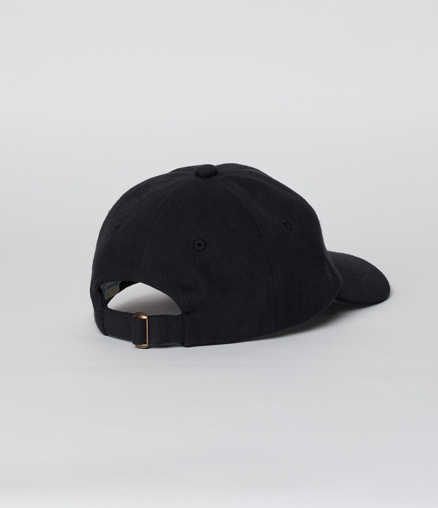 CAP01T_99_03.jpg