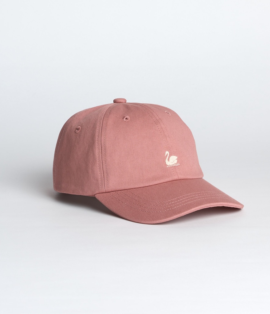 CAP01_3902_02