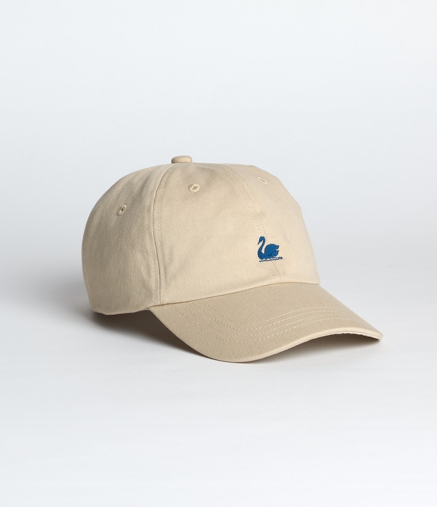 CAP01_16158_02
