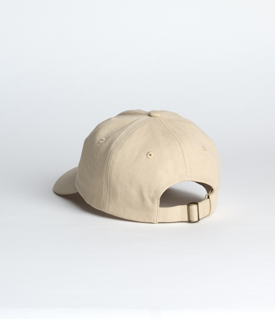 CAP01_16158_03